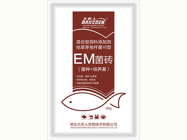 em菌磚